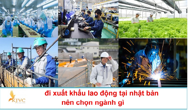 đi nhật nên chọn ngành gì